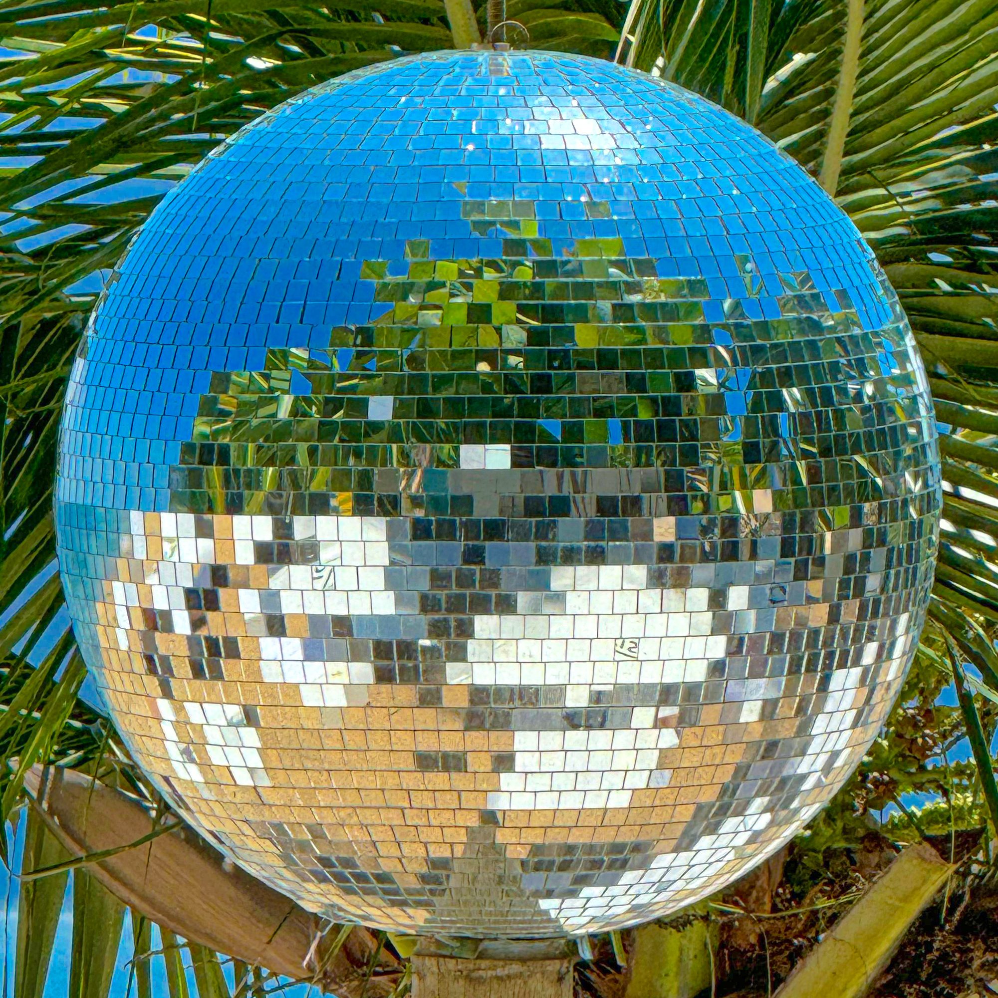 Galeria de fotos DPNY