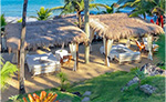 Galeria de fotos DPNY