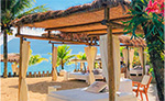 Galeria de fotos DPNY